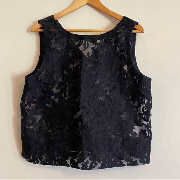 Banana Republic Sheer Lace Sleeveless Crop Top - Picture 5 of 8